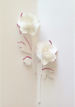 Two peonies pop-up design from the Floral Enchantment collection