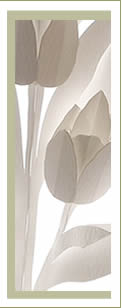 Tulips Pop-up Card
