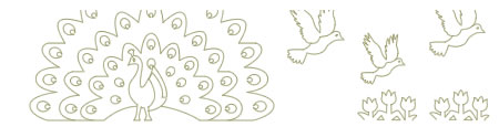 Graphic of a Pop-up Peacock from the Assorted Pop-up Cards Book